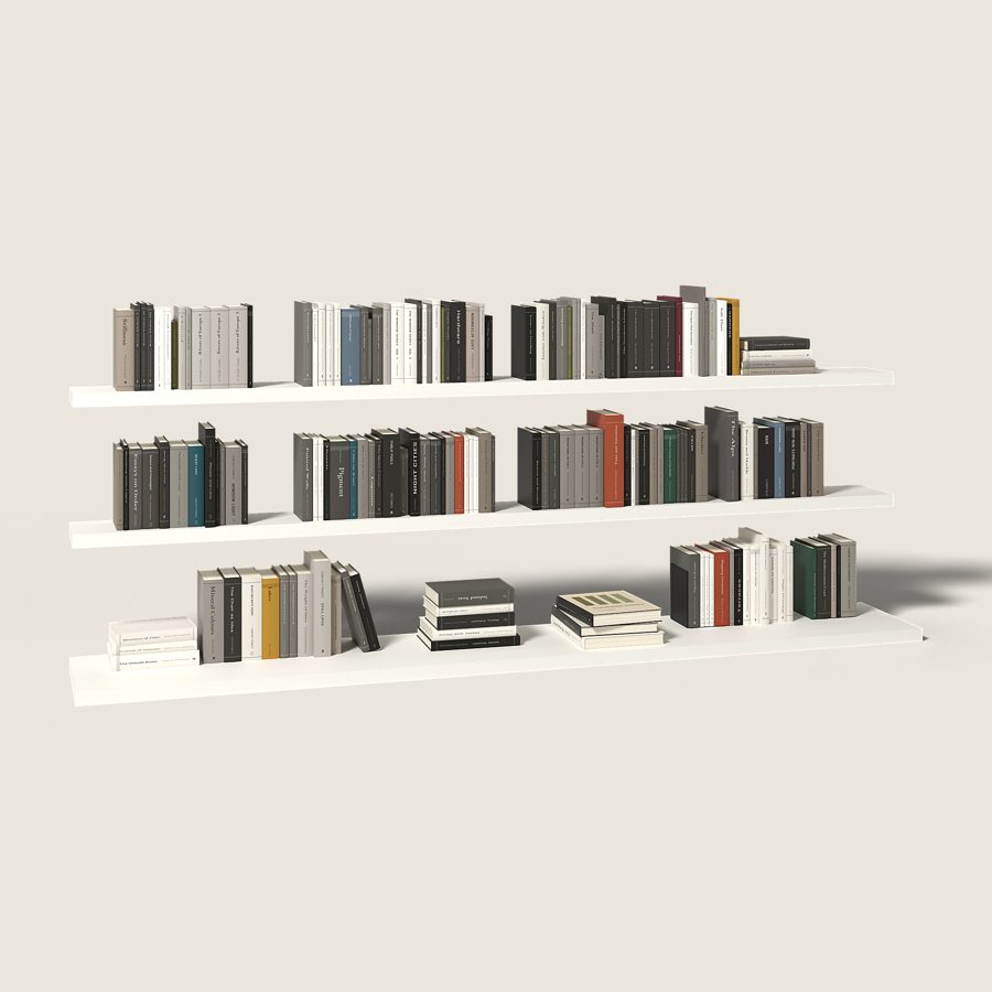ZNM-038 Books on shelves